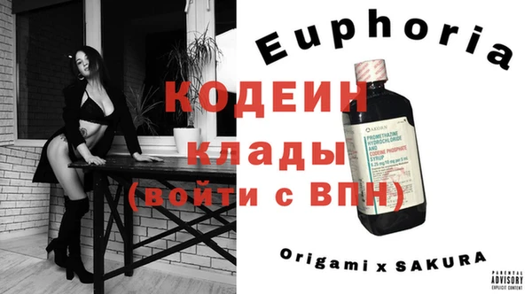 шишки Няндома