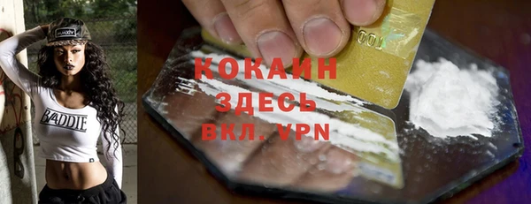 мет Новодвинск