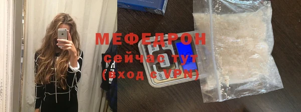 шишки Няндома