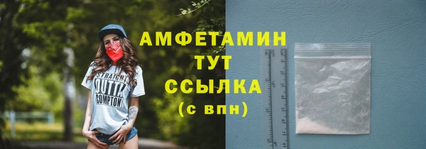 стаф Новозыбков