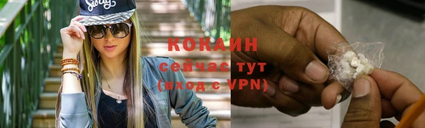 стаф Новозыбков