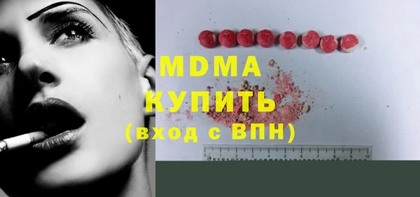 шишки Няндома