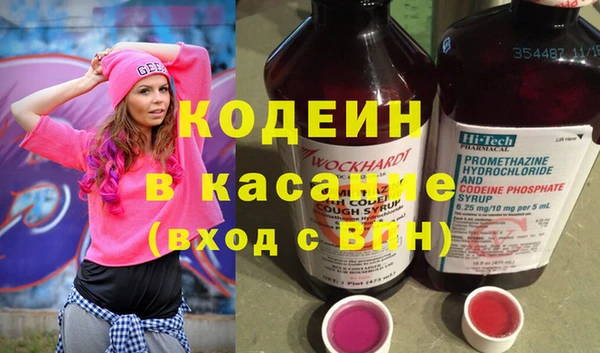 стаф Новозыбков