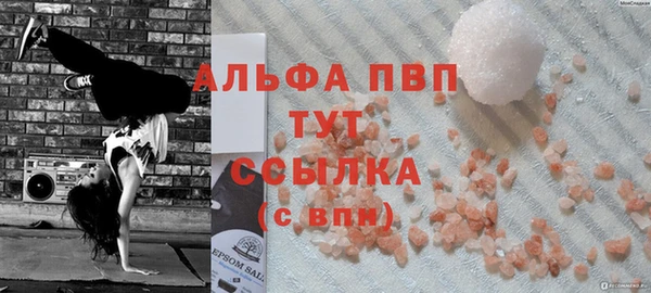 стаф Новозыбков