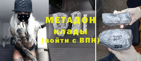 шишки Няндома