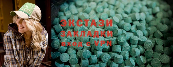 шишки Няндома