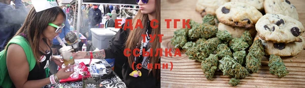 шишки Няндома