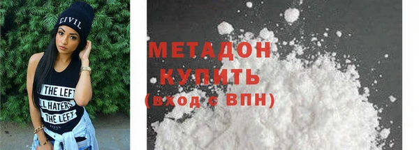 шишки Няндома