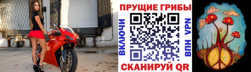 Псилоцибиновые грибы Cubensis  Калачинск 